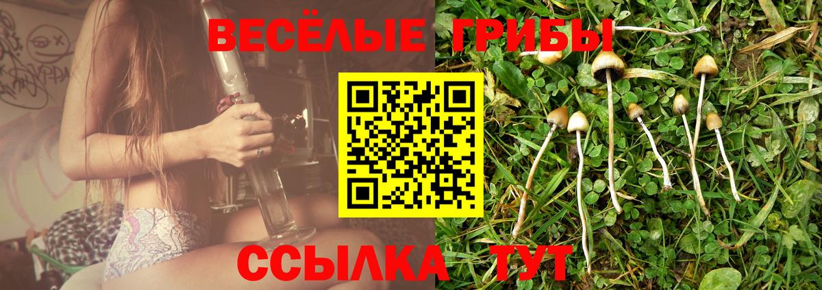Галлюциногенные грибы мицелий  Вход с VPN  Гай 